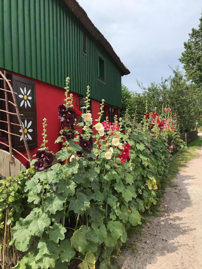 Toepferweg 06 Ferienwohnung Tine 阿伦斯霍普 外观 照片